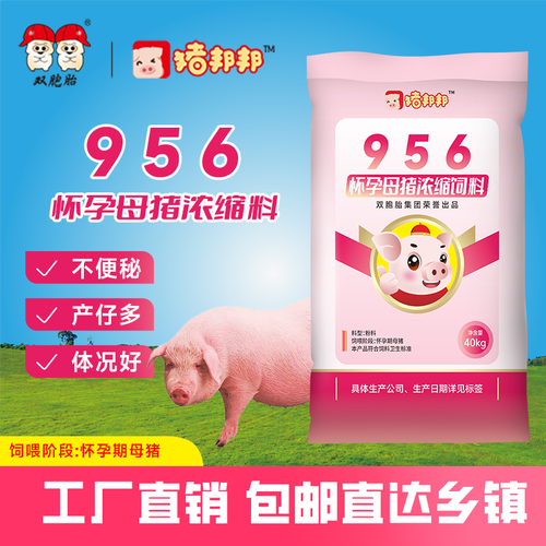 猪邦邦双胞胎956怀孕母猪浓缩料 为母猪健康与高产保驾护航